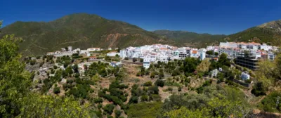 Promoción Almazara Forest, Calle Terreno Sau s/n. Istán de 580.000 €