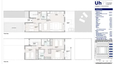 Townhouse on Calle Manuel Piñero, s/n photo 21