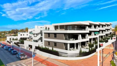 Pis – Elx - Elche - Més