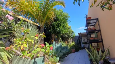 Single-family house on Calle Drago, 1 photo 14