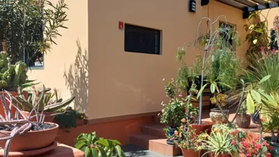 Single-family house on Calle Drago, 1 photo 51