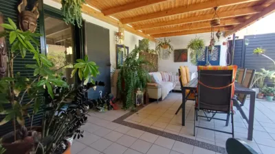 Single-family house on Calle Drago, 1 photo 8
