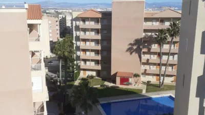 Pis – Elx - Elche - Vista 2