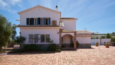 Rustic finca on A-384, 1 photo 19