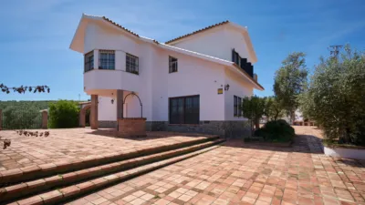 Rustic finca on A-384, 1 photo 21