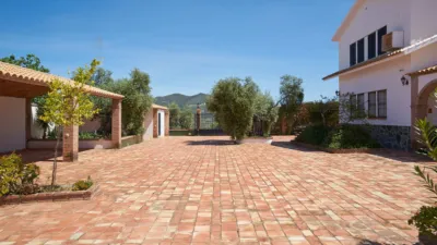 Rustic finca on A-384, 1 photo 26