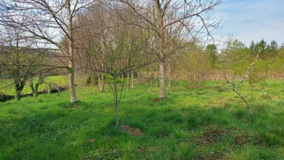 Single-family home in Lu-612, 1 photo 24