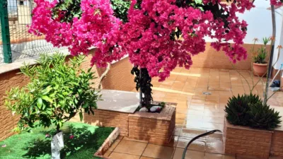 Single-family home on Calle Zenete, 1 photo 54