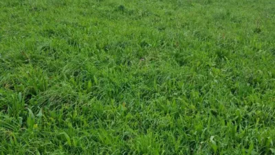 Terreno en venta en As-367, 1 - Vista 4