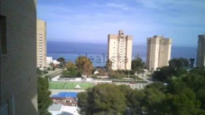 Piso – Orihuela - Vista 4