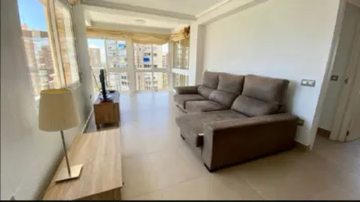 Piso – Orihuela - Vista 5