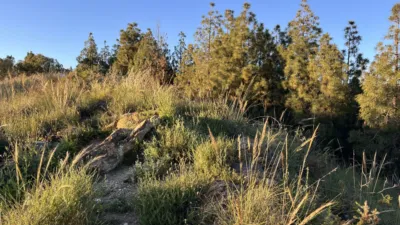 Terreno en venta en Calle de Celebes Barat, 37, cerca de Calle Menado, El Atabal-El Chaparral-Los Morales (Distrito Puerto de la Torre. Málaga Capital) de 405.000 €