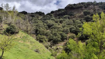 Rustic finca on Calle Eras, 4 photo 2