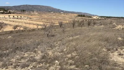 Terreno en venta en Carrer del Badén de Rico Lucas, 1 - Vista 3