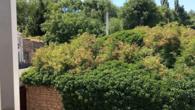Terraced house on Calle de San Roque, 1 photo 65