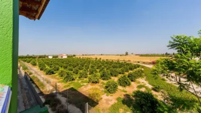 Casa – Almoradí, El Saladar - Vista 2