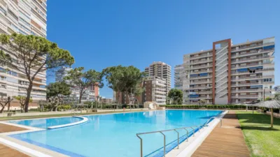 Pis – Alicante - Alacant - Vista 3