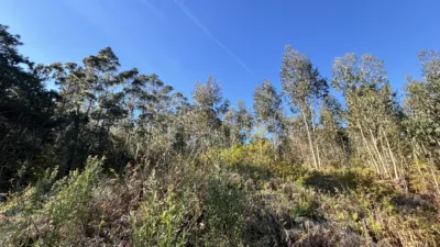 Terreno en venta en Calle Lugar Valmaior, 1 - Vista 4