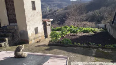 Finca rústica en Mi-2, 1 photo 15