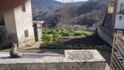 Finca rústica en Mi-2, 1 photo 16