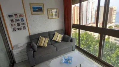 Apartment on Avenida del Mediterráneo, 43 photo 21
