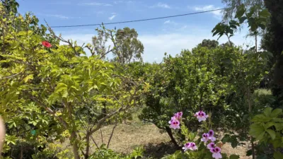 Terreno en venta en Cv-827, 1 - Vista 4