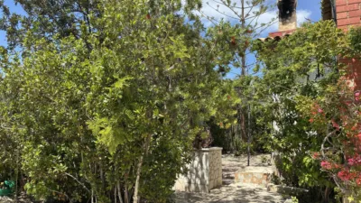 Terreno en venta en Cv-827, 1 - Vista 5
