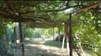 Pis – Frades, Ordes - Vista 3