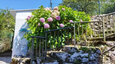 Semi-detached chalet on Avenida Fuerte, 2 photo 4
