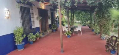Rustic finca on Vía Carril de La Loma de los Muertos, 1 photo 10