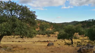Rustic Finca in Hu-7106, 1 photo 6