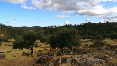 Rustic Finca in Hu-7106, 1 photo 7