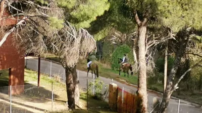 Chalet unifamiliar en alquiler en Avenida de los Pinos, 14, San Martín de Valdeiglesias de 2.200 €<span>/mes</span>