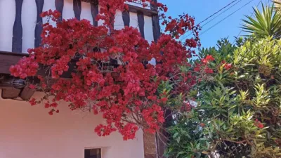 Rustic property on Calle Tereñes, 41 photo 2