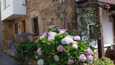 Rustic property on Calle Tereñes, 41 photo 3