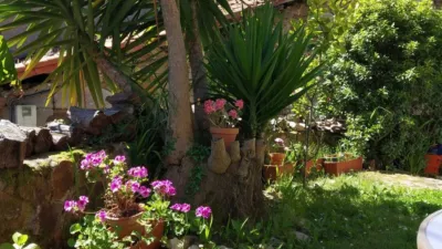 Rustic property on Calle Tereñes, 41 photo 4