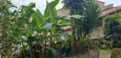 Rustic property on Calle Tereñes, 41 photo 5