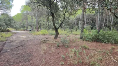 Terreno en venta en Urbanización Pinares del Júcar, 85 - Vista 2