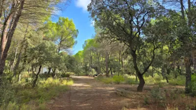 Terreno en venta en Urbanización Pinares del Júcar, 85 - Vista 3