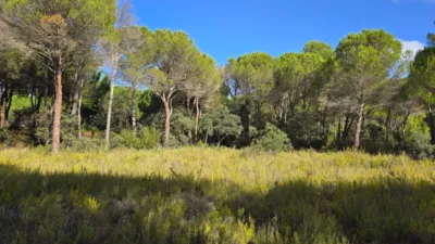 Terreno en venta en Urbanización Pinares del Júcar, 85 - Vista 4