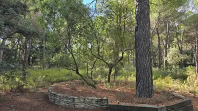 Terreno en venta en Urbanización Pinares del Júcar, 85 - Més
