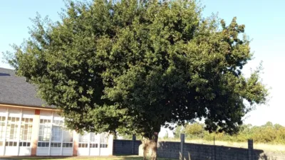 Casa – Culleredo, Toroño - Vista 2