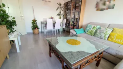 Piso – Perillo, Santa Cristina - Vista 2