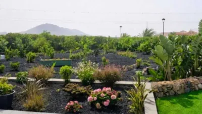 Single-family chalet on Calle San Francisco Javier, 38 photo 4