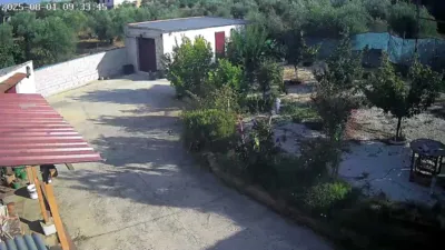 Rustic finca on Calle El Transformador, 1 photo 4