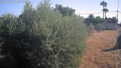 Rustic finca on Calle El Transformador, 1 photo 5