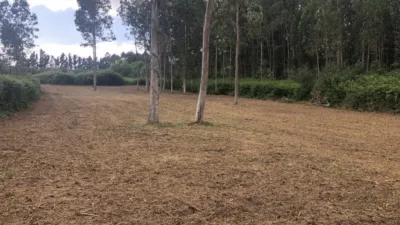 Terreno en venta en Lugar de Carnoedo, 1 - Vista 3