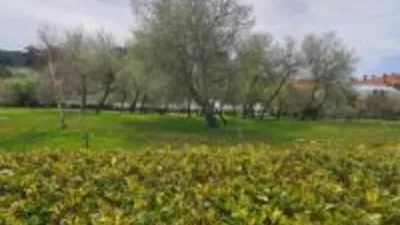 Piso – Mera, A Coruña - Vista 2