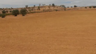 Terreno en venta en Camino del Tejar de Honorio, 1 - Vista 2