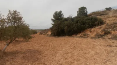 Terreno en venta en Camino del Tejar de Honorio, 1 - Més